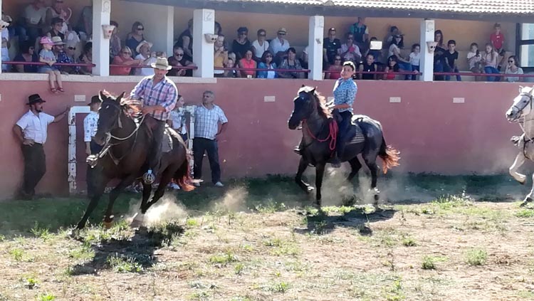 20190929-ferrade-finca-lopez-235