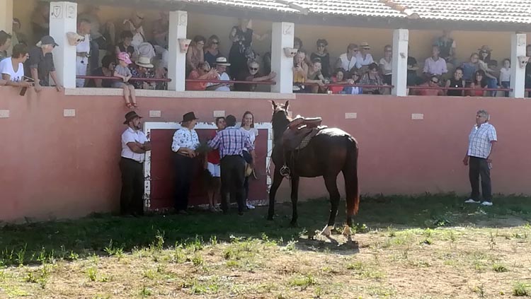 20190929-ferrade-finca-lopez-246