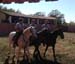 20190929-ferrade-finca-lopez-225a
