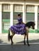 20220815-Romeria2022-023