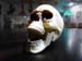 20221026-Halloween-070a