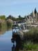 20221106-remerciements-Canal-01-003