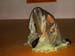 20050226-Soiree-orientaledi002