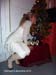 20101208-Mercredi-01a