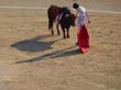 20130816-corrida-castela--013