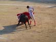 20130816-corrida-castela--022