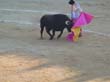 20130816-corrida-castela--033