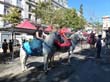 20130818-feria-1-romeria-034