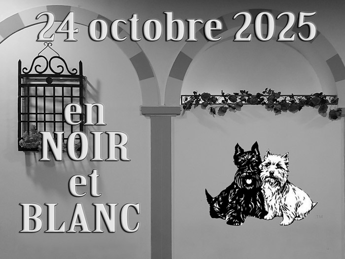 20251024-Noir-Blanc-000b